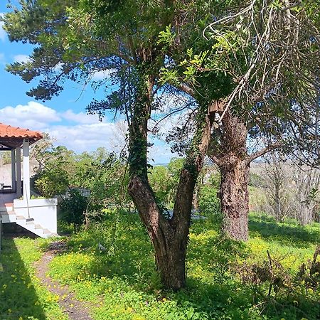 فيلا Quintinha A 35Min De Lisboa مافرا المظهر الخارجي الصورة